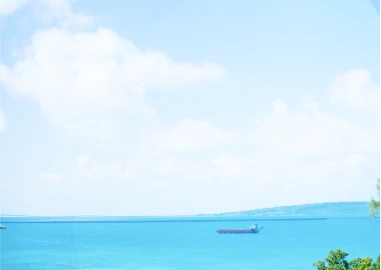 写真:海