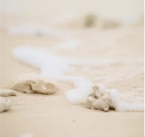 写真:浜辺